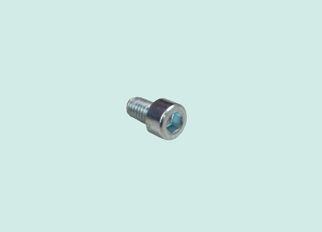 Screw Hex Socket 202196
