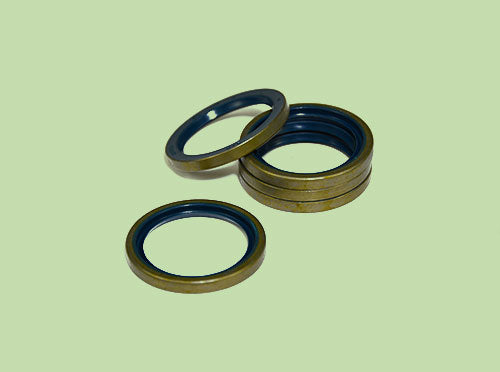 Gasket (00.550.0256)