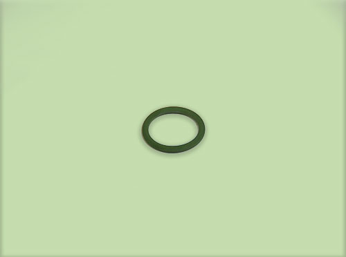 O Ring Seal for Polar