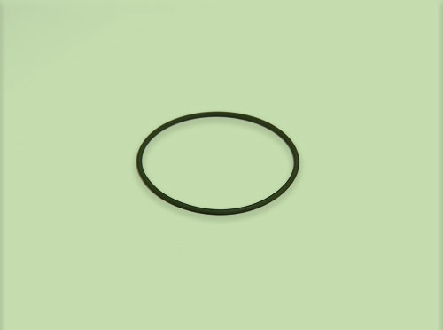 O Ring Seal